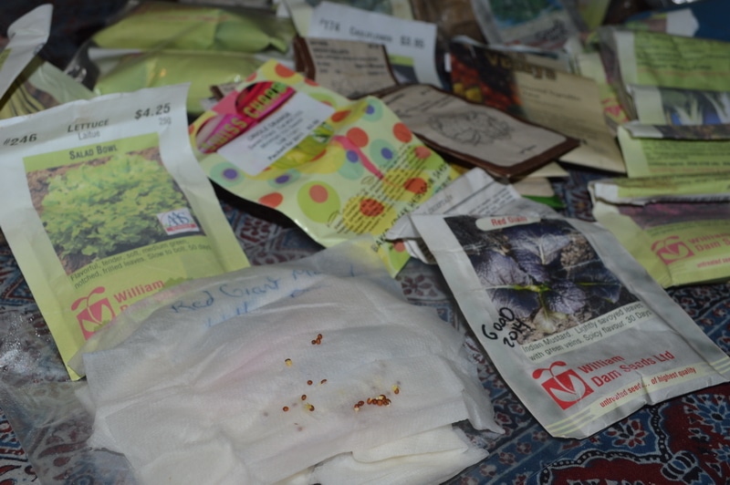 seed tests2