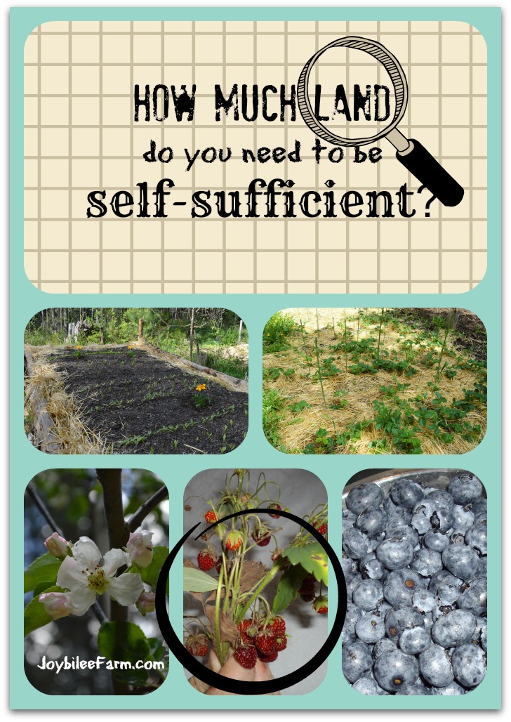 How Much Land Do You Need To Be Self Sufficient Joybilee Farm