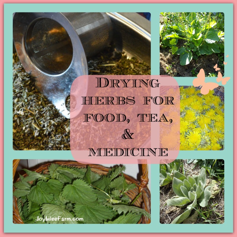 Food preservation Drying herbs for food, teas and medicine Joybilee