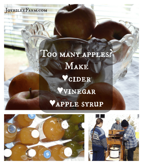 Too Many Apples Make Cider Vinegar And Apple Syrup Joybilee® Farm