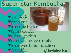 Kombucha benefits