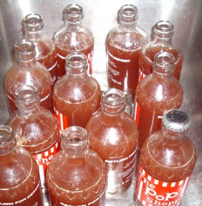 Kombucha