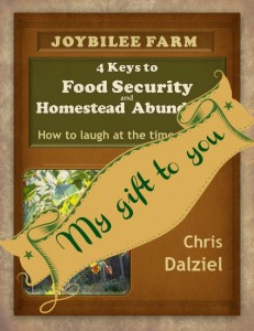 EBook opt in ad