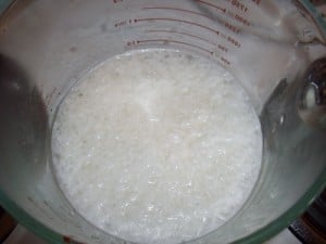 coconut milk 2