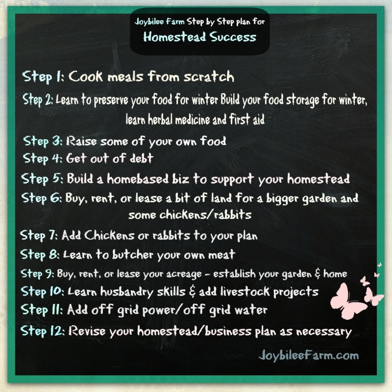 Step by step to homestead success