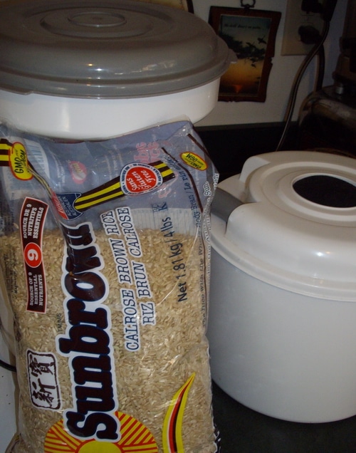 Gluten-free French Loaves 2
