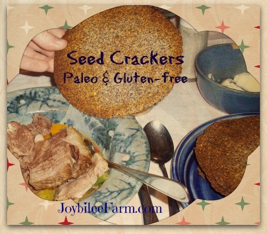 Crackers paleo