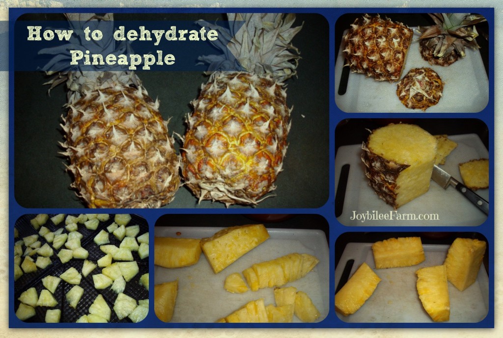 Pineapple collage
