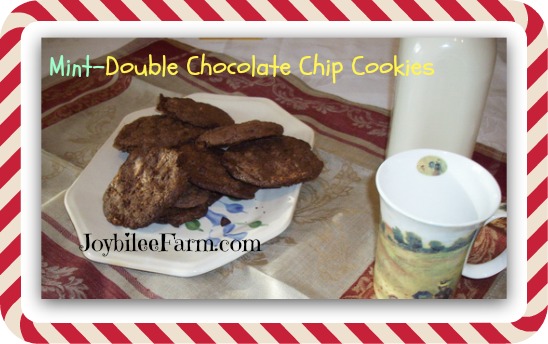 mint chocolate chip cookies