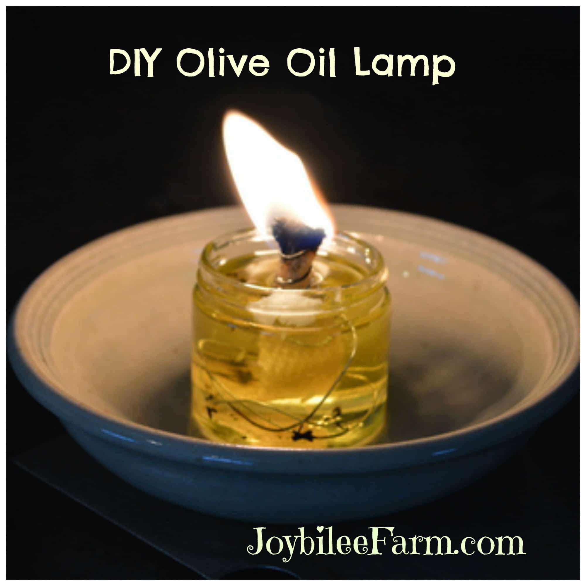 DIY Olive Oil Lamp, the lost art you need to know Joybilee Farm