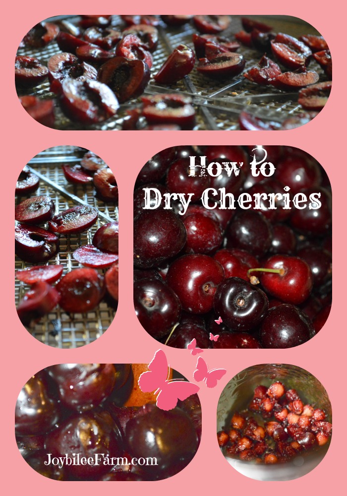 When your life is a box of cherries try this! Joybilee® Farm DIY
