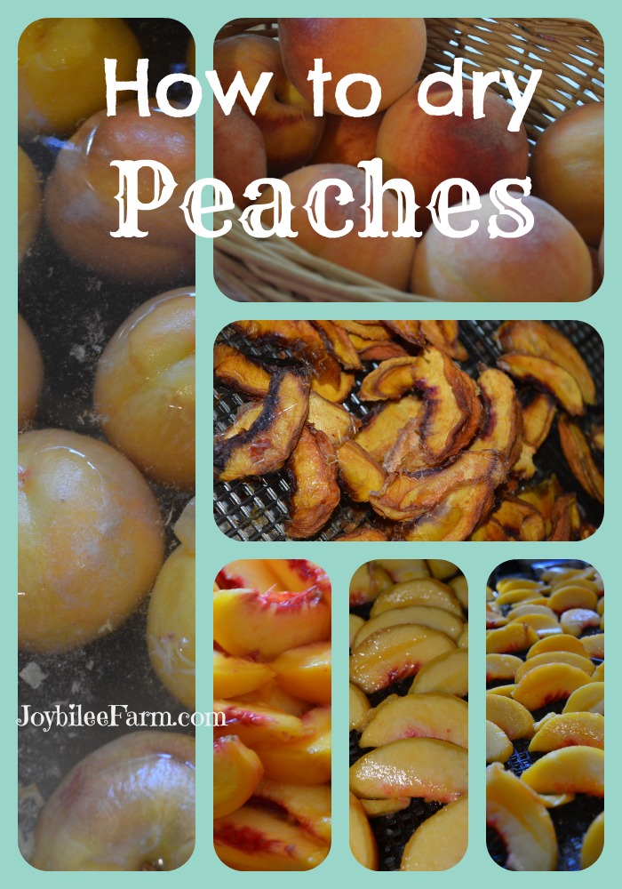 How To Dry Peaches Joybilee® Farm Diy Herbs Gardening