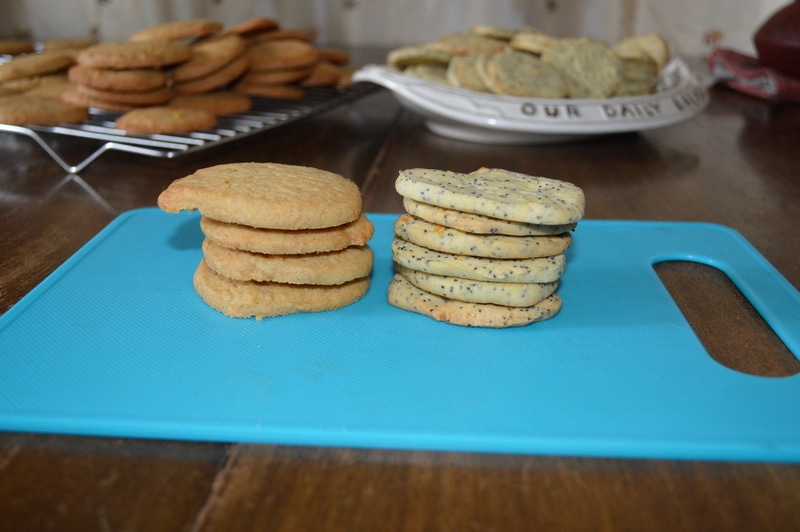 Refrigerator cookies made with regular (left) and gluten-free flours (right)