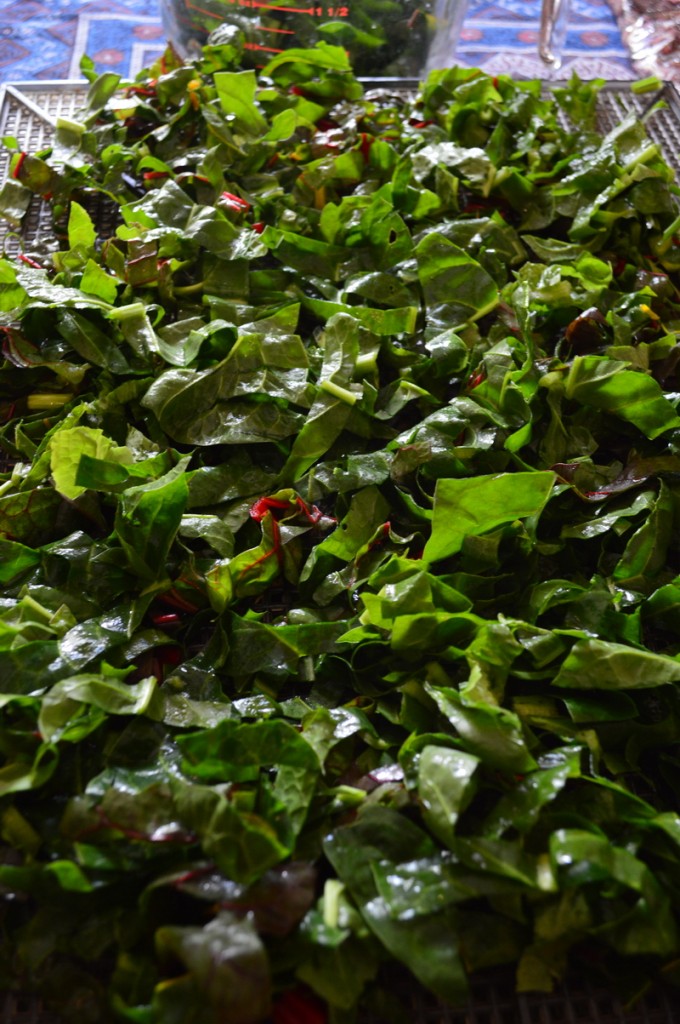 chard on a dehydrator tray