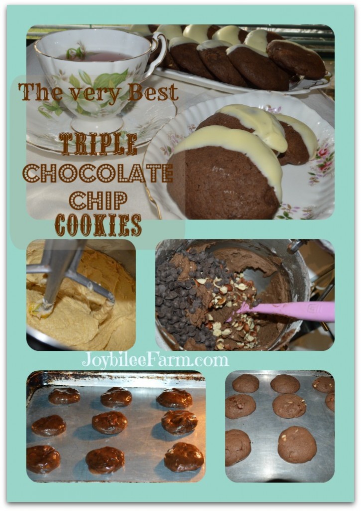 Triple Chocolate Chip Cookies