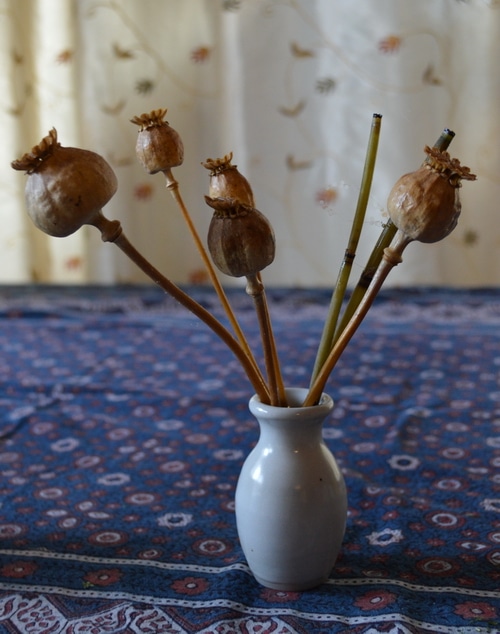 Essential oil diffuser 2