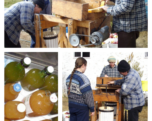 How to make apple cider vinegar -- Joybilee Farm
