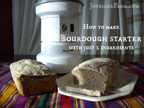 how to make sourdough starter