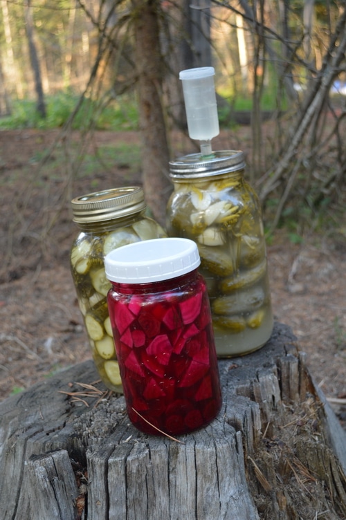 How to make pickles -- Joybilee Farm