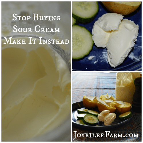 how to make sour cream at home how to make sour cream at home
