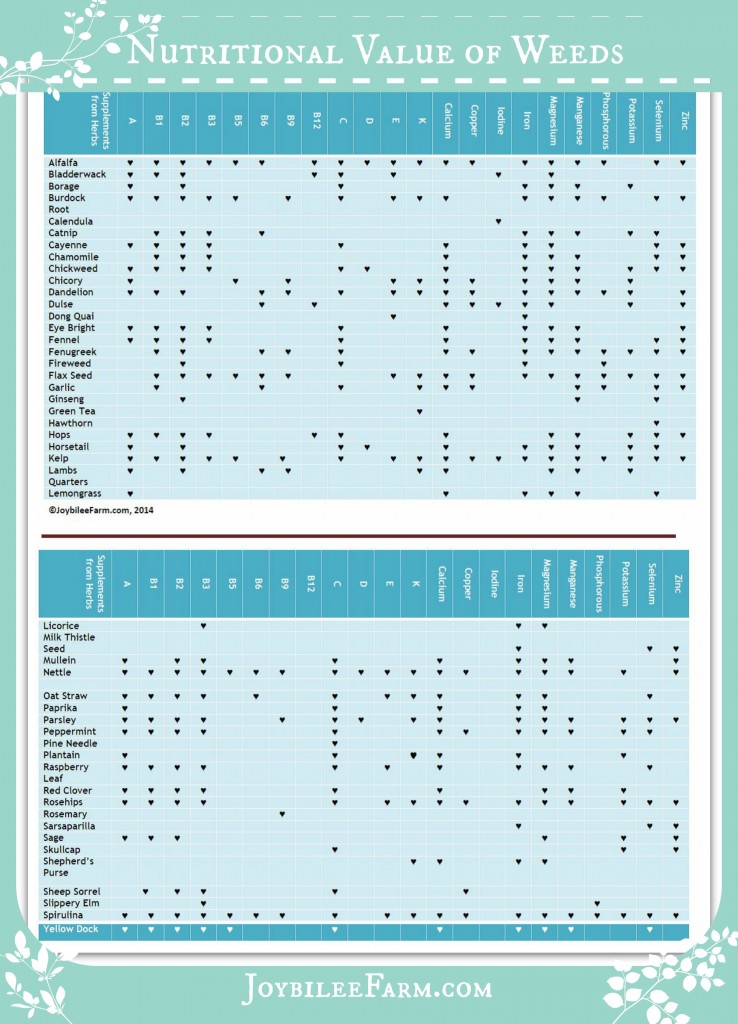 Nutritional Value of weeds Infographic