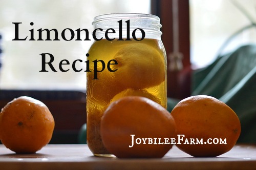 Limoncello is a slightly bitter, refreshing aperitif. Traditionally served icy cold, before meals to stimulate digestive juices, the bitter principle in limoncello is stimulating and carminative. Have a glass before a heavy meal, or serve it up with dessert. Your liver will thank you.