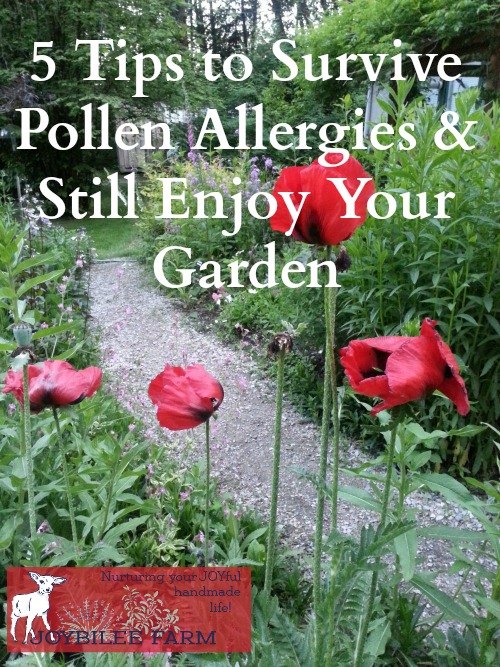 Pollen Allergies and Gardening How to Survive Joybilee® Farm DIY