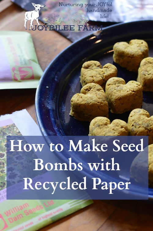 How to Make Seed Bombs with Recycled Paper Joybilee® Farm DIY