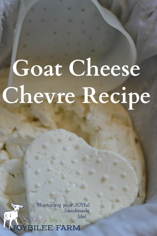 Goat Cheese Chevre Recipe Joybilee® Farm DIY Herbs Gardening