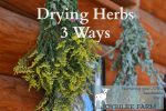 Drying Herbs 3 Ways