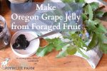 Make Oregon Grape Jelly from Foraged Fruit