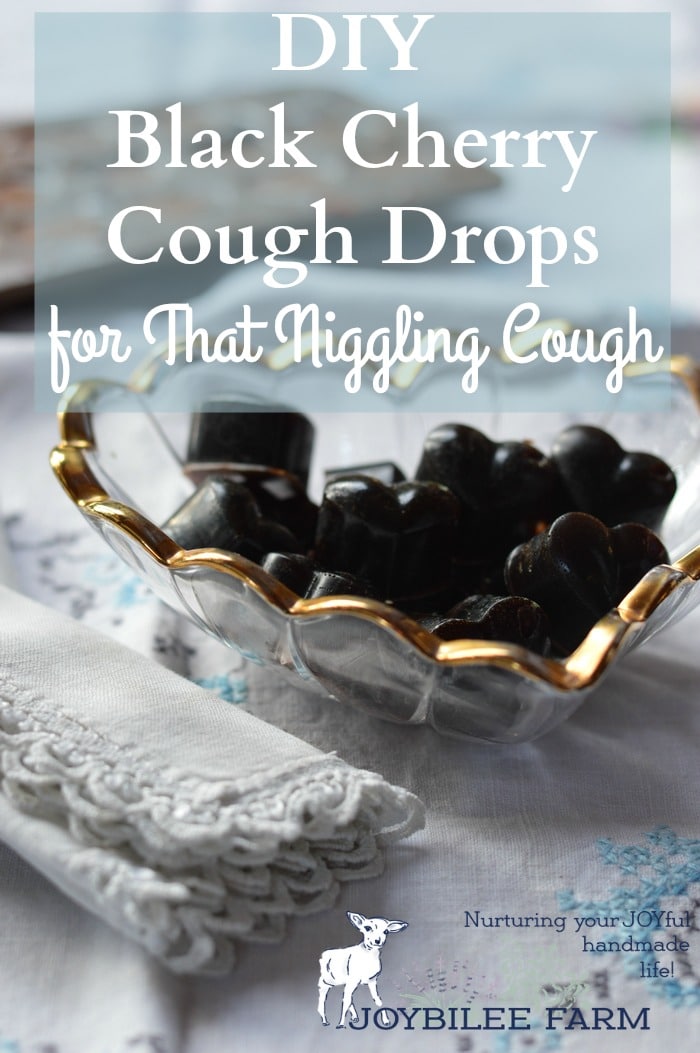 DIY Black Cherry Cough Drops for That Niggling Cough Joybilee® Farm DIY Herbs Gardening