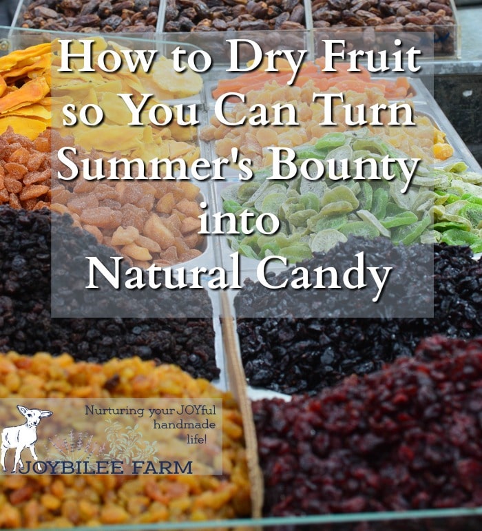 How to Dry Fruit so You Can Turn Summer's Harvest into Nature's Candy