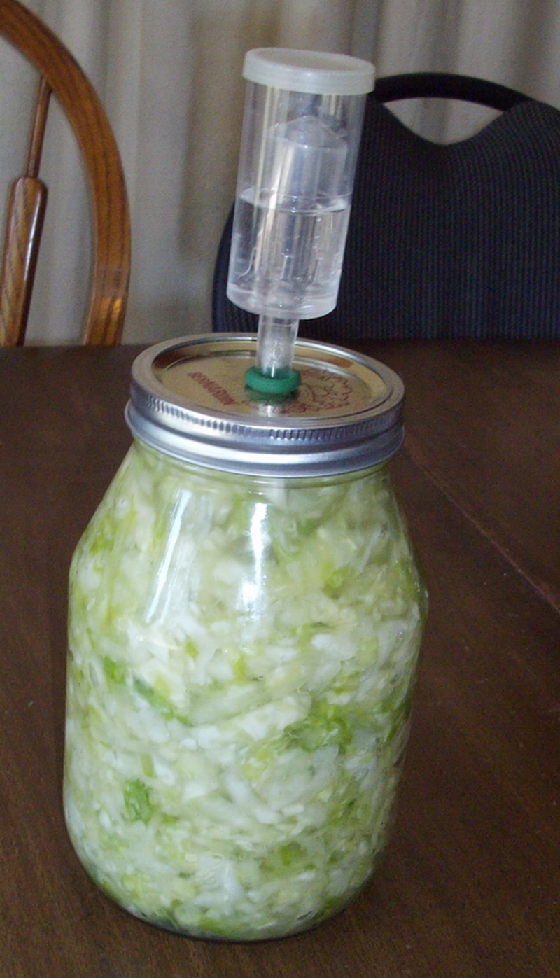 Food Preservation: Lacto-Fermented Vegetables | Joybilee® Farm | DIY ...