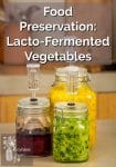 3 colourful jars of fermenting vegetables