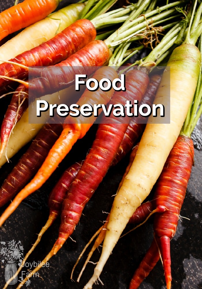 Food preservation summer's bounty for winter's scarcity Joybilee