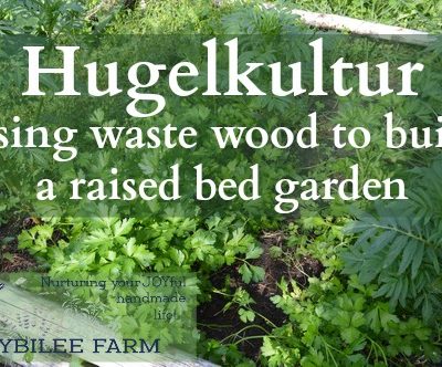 Hugelcultur is an ancient form of composting that utilizes woody waste as the carbon substrata, to retain soil moisture and soil fertility. You can utilize the principles of hugelcultur by simply burying wood waste throughout your yard and garden, in order to increase the moisture holding capacity and fertility of your soil. It breaks down slowly over several seasons. A hugelcultur raised bed is a garden in its own right. It can be any size or shape that you wish, although most hugelcultur raised beds are rectangular.