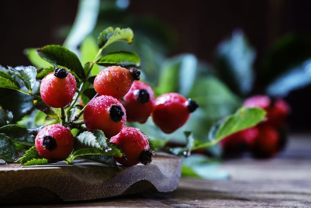 fresh rosehips on a wooden table, rosehip vitamin c is a great home immune booster.