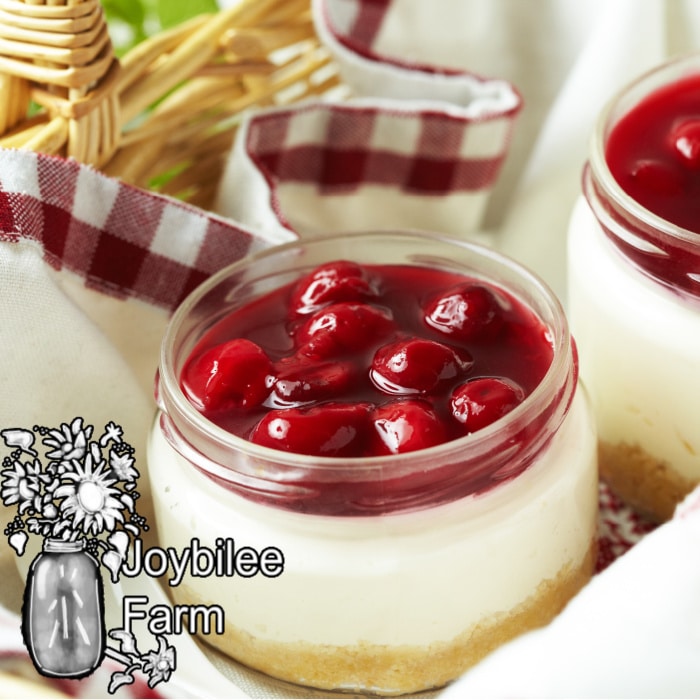 https://joybileefarm.com/wp-content/uploads/2011/10/vegan-cheesecake-feature.jpg