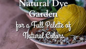Planting your Natural Dye Garden for a Full Palette of Natural Colors