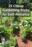 25 Cheap Gardening Tricks for Self-Reliance