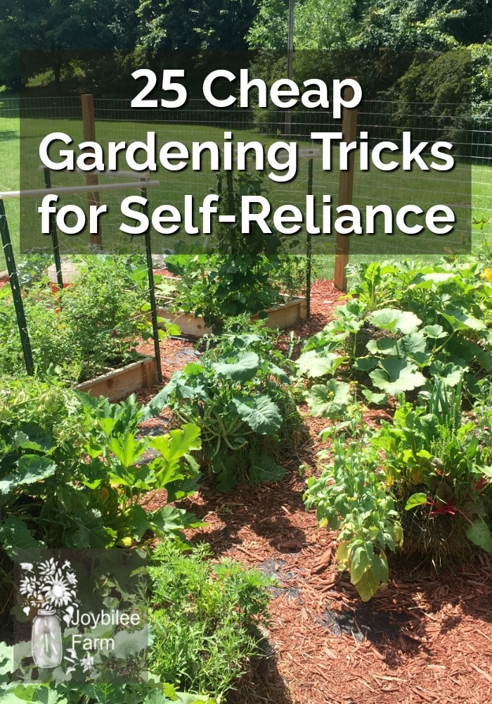 25 Cheap Gardening Tricks For Self Reliance