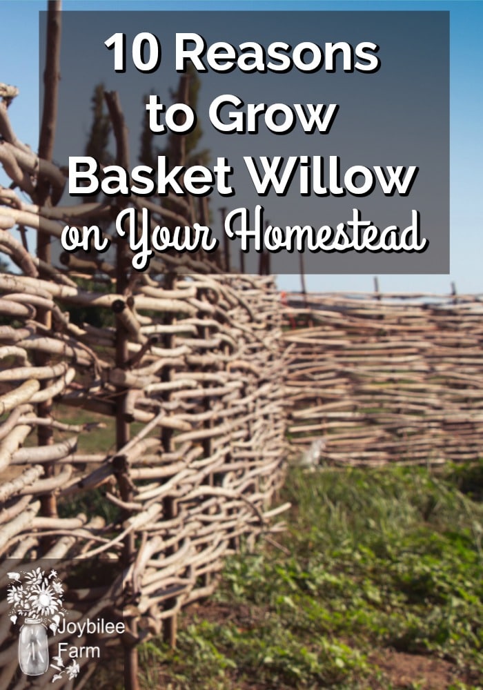 A fence made out of willow branches