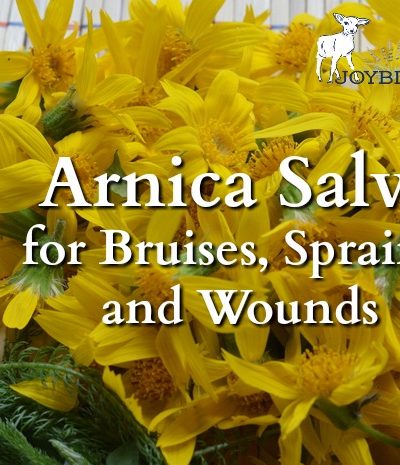 Arnica salve soothes bruises, sprains, and strains. It is a must for your first aid kit, especially if you are active outdoors.