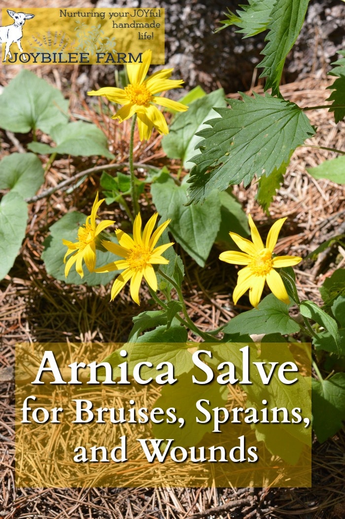 Arnica salve acalma nódoas negras, entorses, e estirpes. É imprescindível para seu kit de primeiros socorros, especialmente se você é ativo ao ar livre.