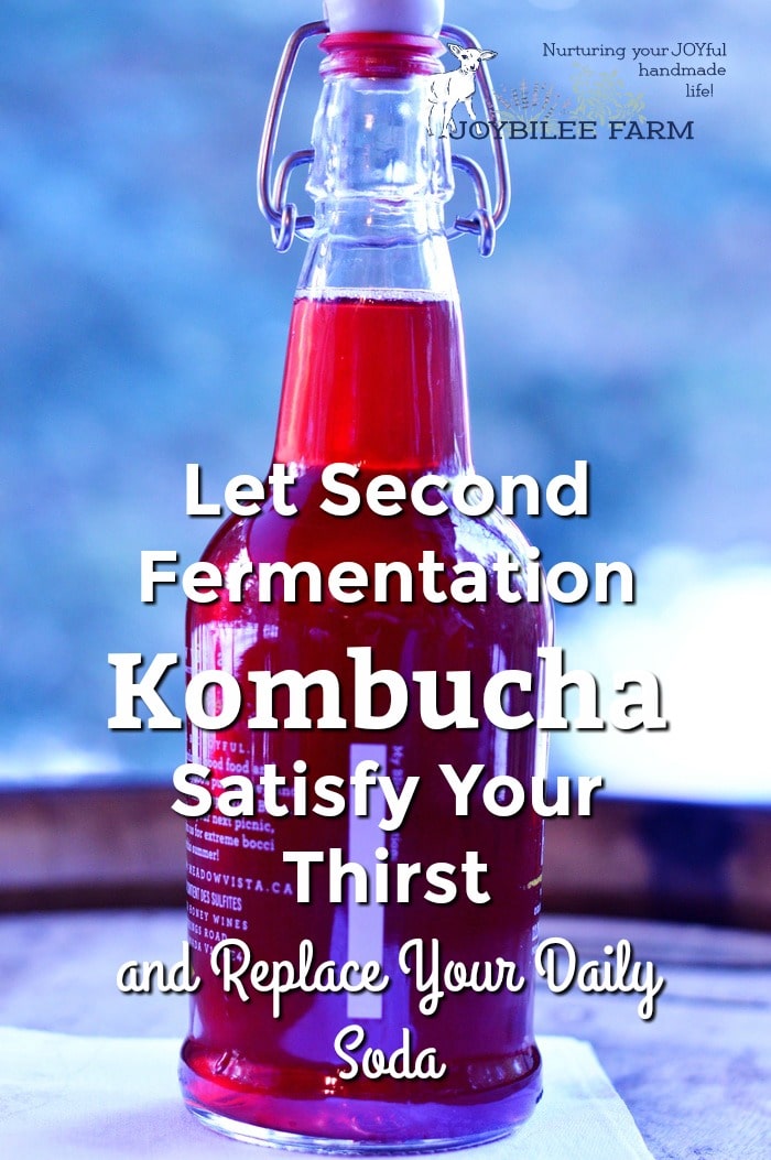 Let Second Fermentation Kombucha Satisfy Your Thirst and Replace Your