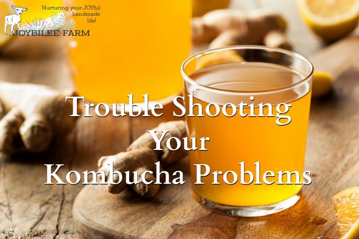 Kombucha in a glass bottle and cup by fresh ginger