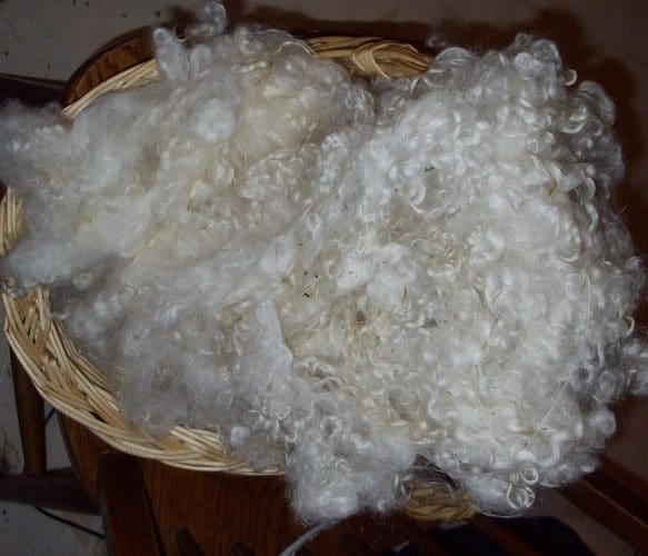 The basics Washing Wool Fleece By Hand