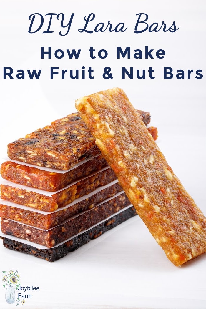 DIY Lara Bars