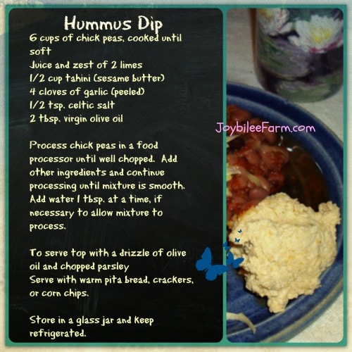 Hummus Dip DIY Herbs with Joybilee Farm